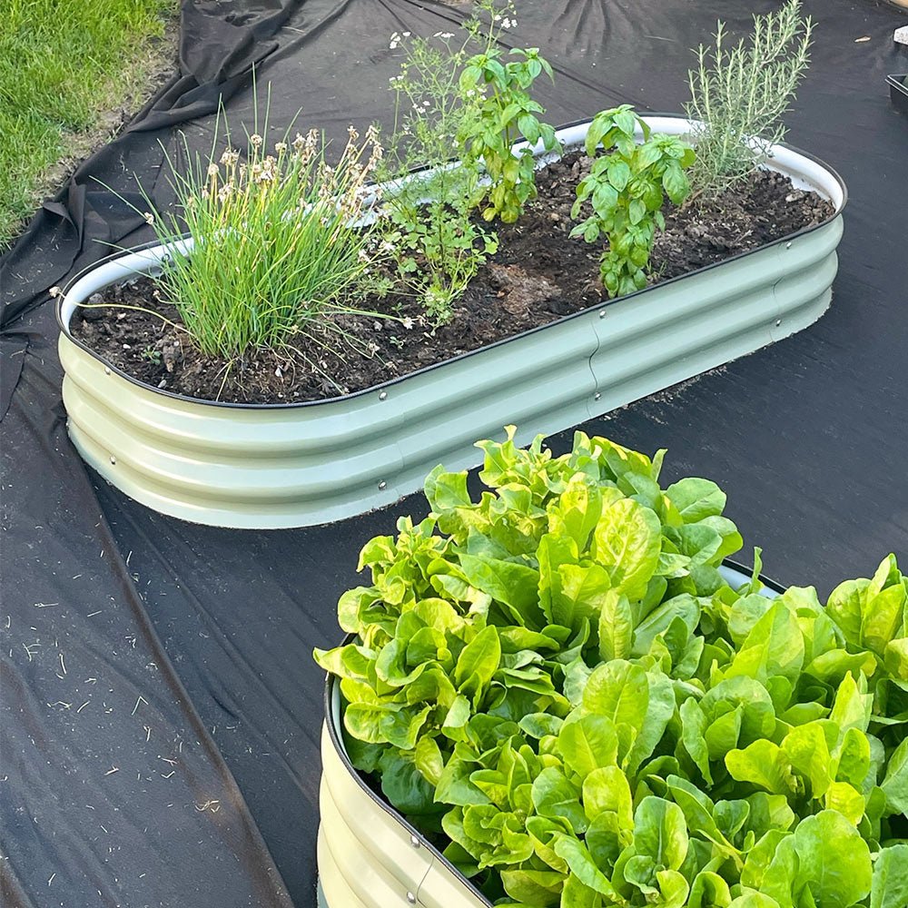 8'' Tall 5'x2' Metal Raised Garden Beds (4 in 1)