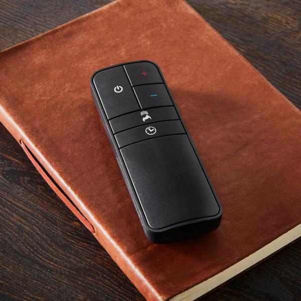 Canteridge 47 in. Media Console Electric Fireplace for TVs up to 55 in. in Black