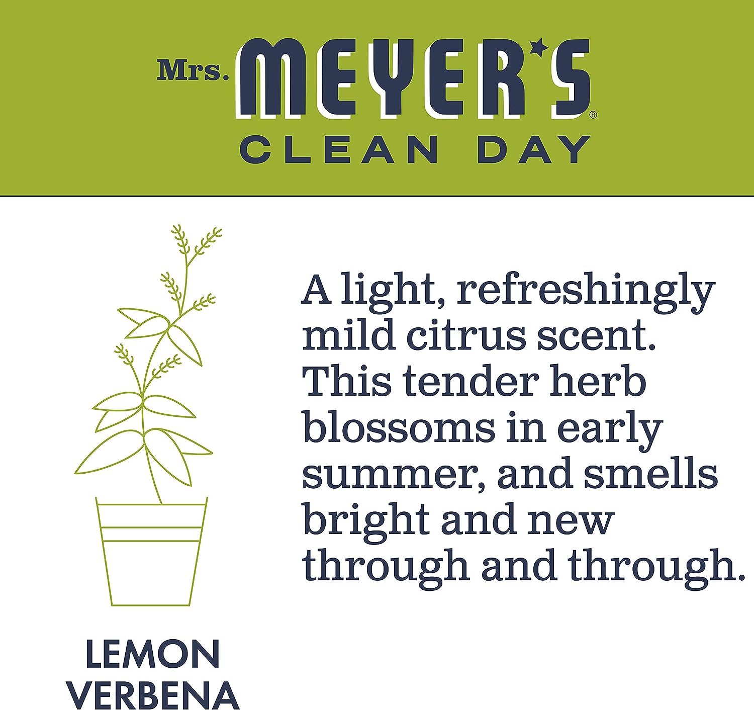 Mrs. Meyer's Liquid Dish Soap, Biodegradable Formula, Lemon Verbena, 16 Fl. Oz - Pack Of 3