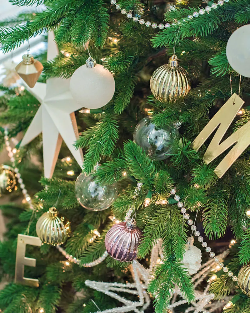 🎄Christmas Special Offer! ✨