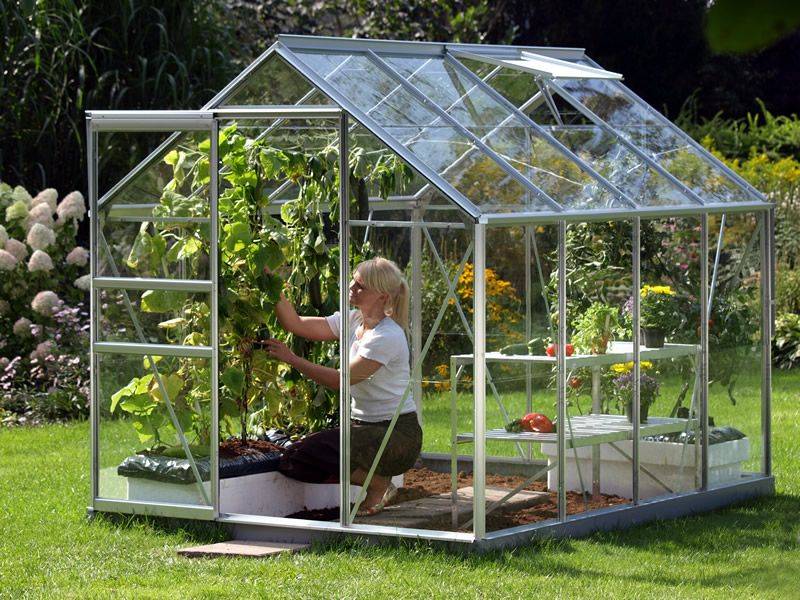 【Home&Garden】Vitavia 8x6 Venus 5000 Greenhouse - Horticultural Glass
