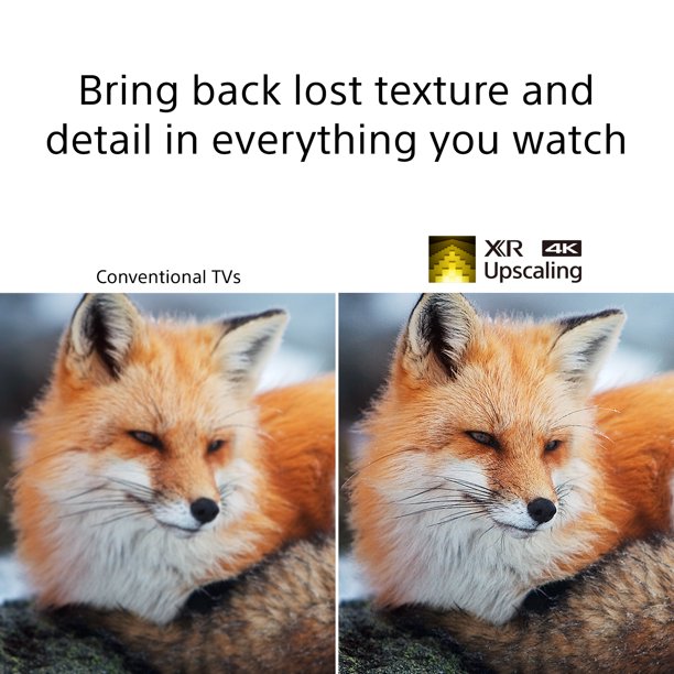 🎄Store Closing Sale📺65