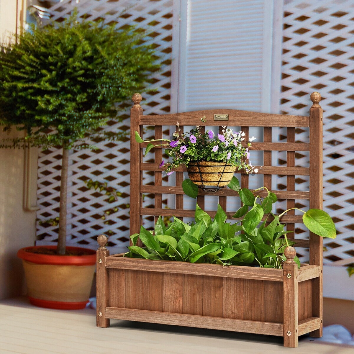 Wooden Raised Garden Bed Freestanding Elevated Planter Box with Trellis