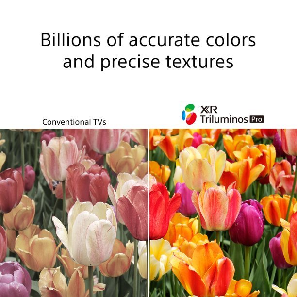 🎄Store Closing Sale📺55