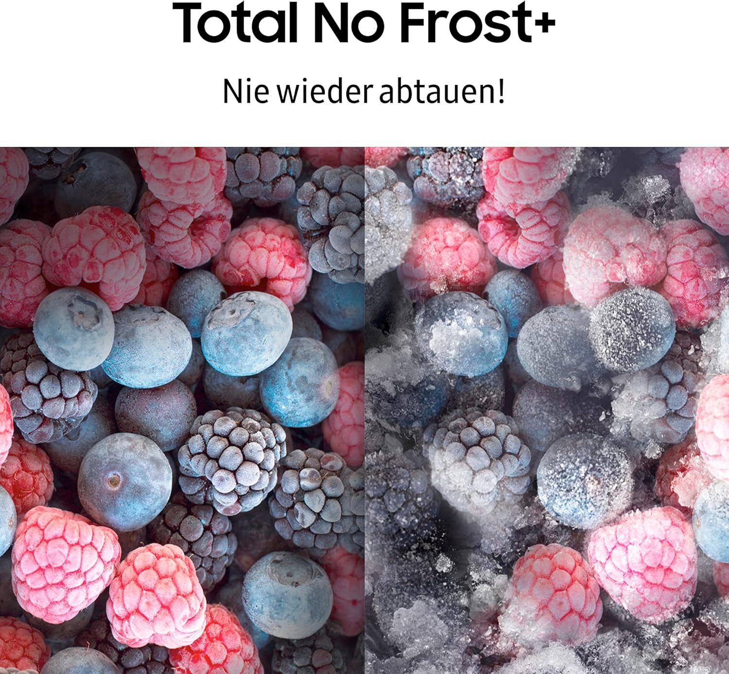 Samsung RS6HA8891B1/EG Side by Side premium noir