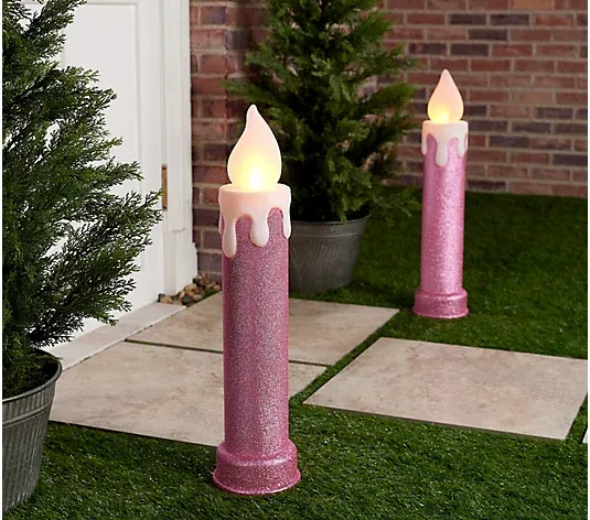 Mr. Christmas In/Outdoor Set of 2 24