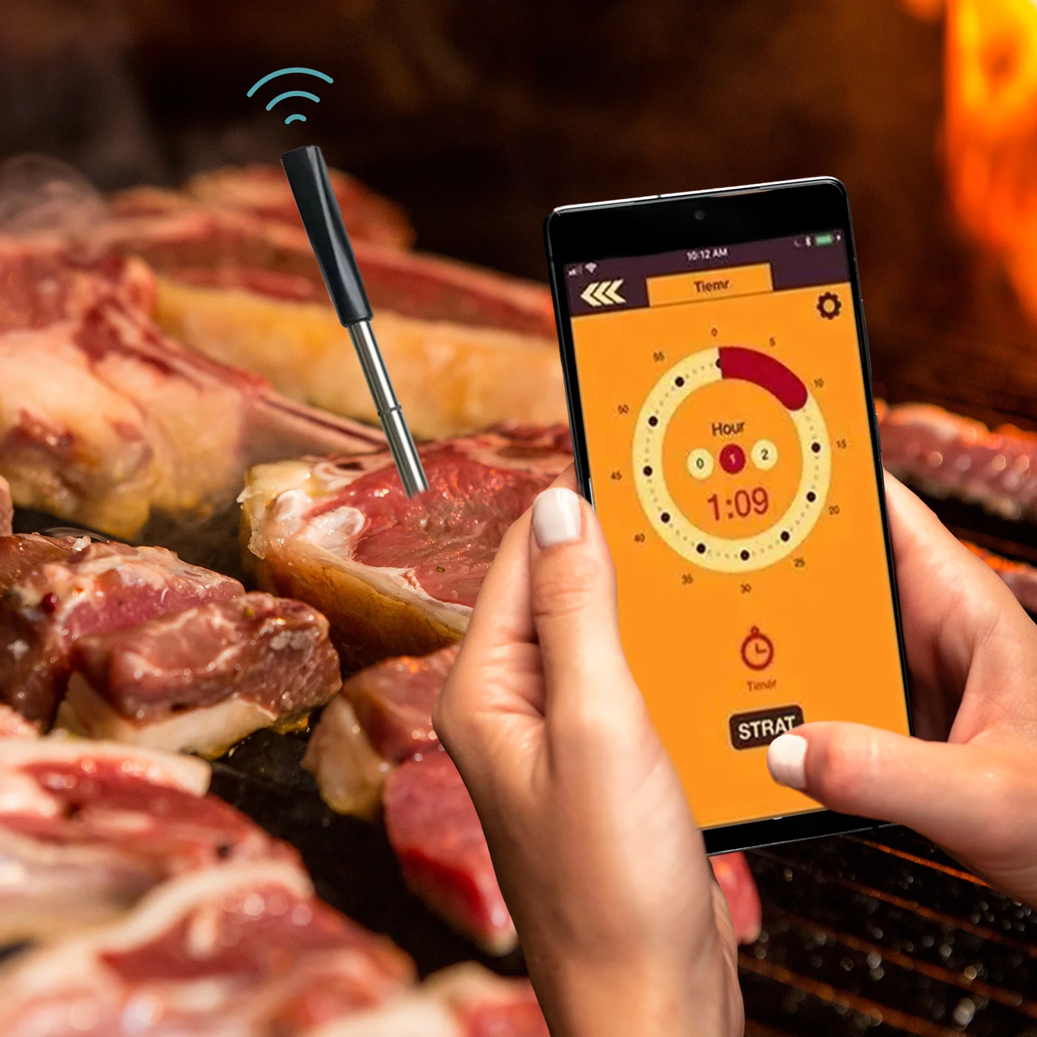 Stegetermometer med Bluetooth - Sølv & Sort, Trådløs Kontrol, 650 DKK, Metal & Plastik