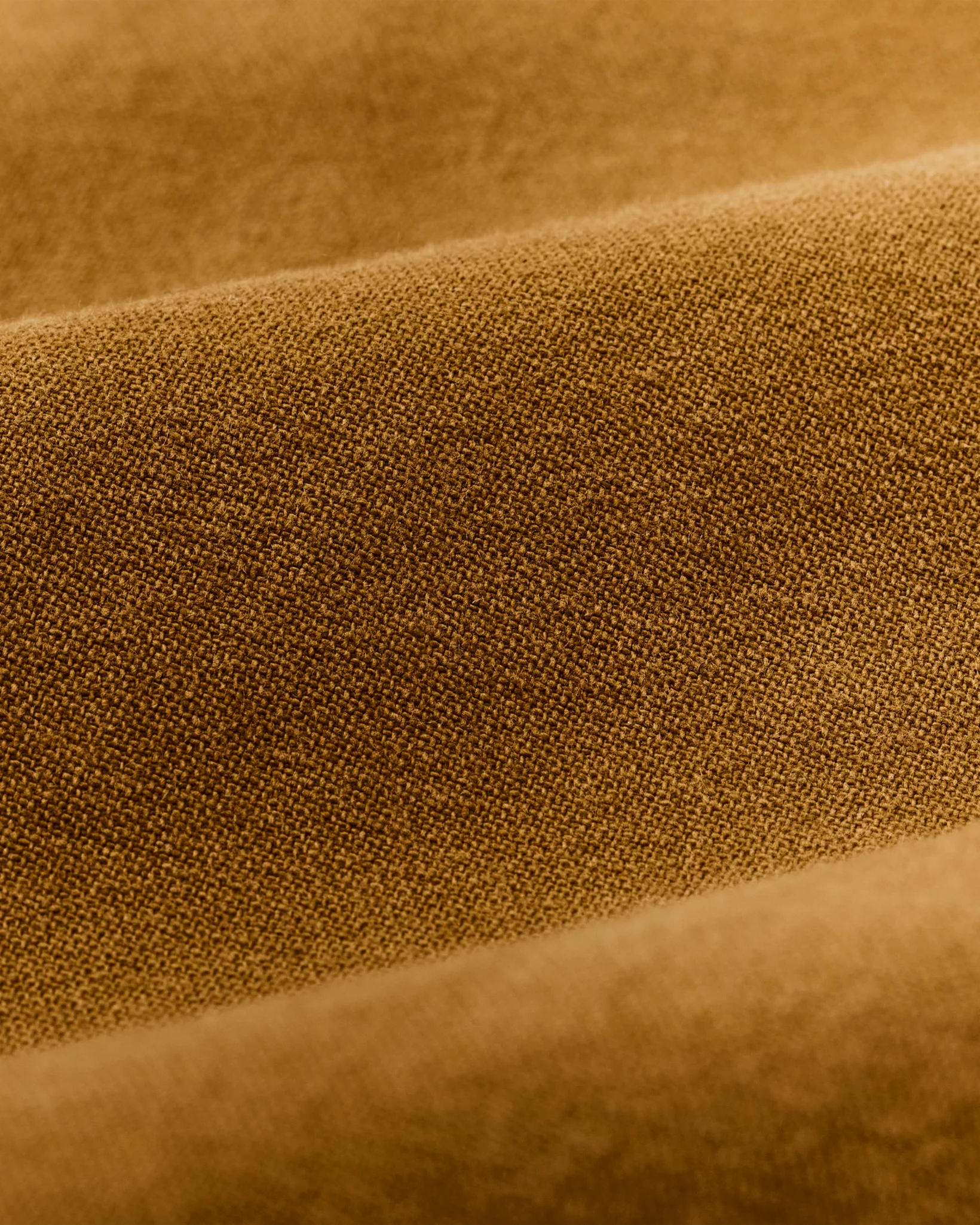 Women's Field Camp Shorts