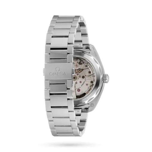 Omega Seamaster Aqua Terra Men Automatic Black Stainless Steel Watch O22010412101001