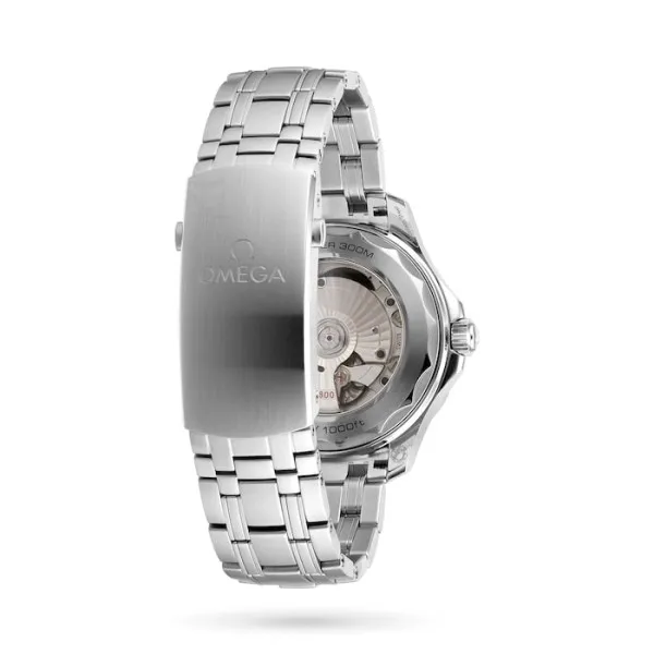 Omega Seamaster Men Automatic Black Stainless Steel Watch O21030422001001