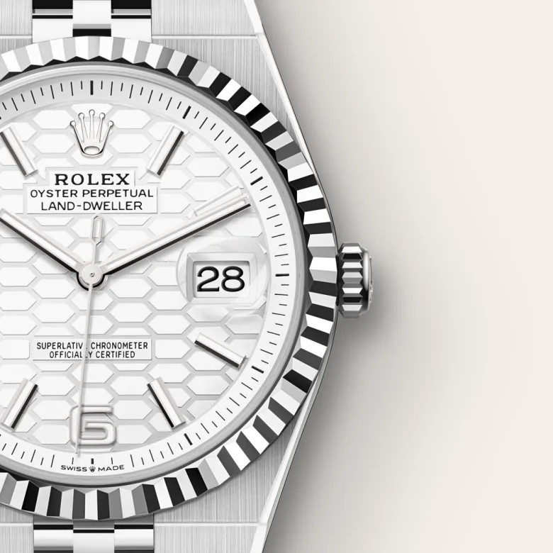 Rolex Land-Dweller 36 White Gold