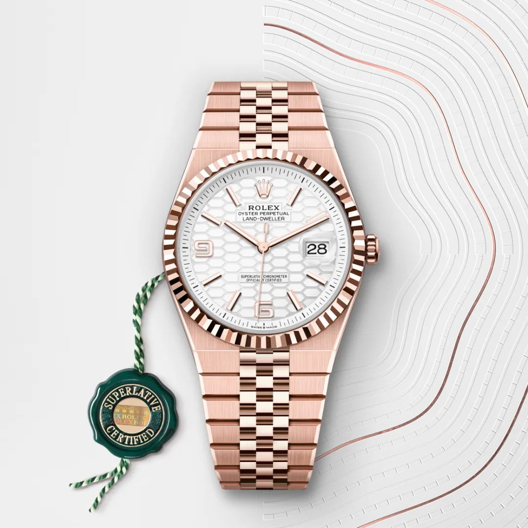 Rolex Land-Dweller 40 Intense White