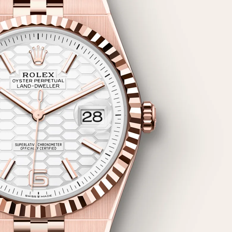 Rolex Land-Dweller 40 Intense White