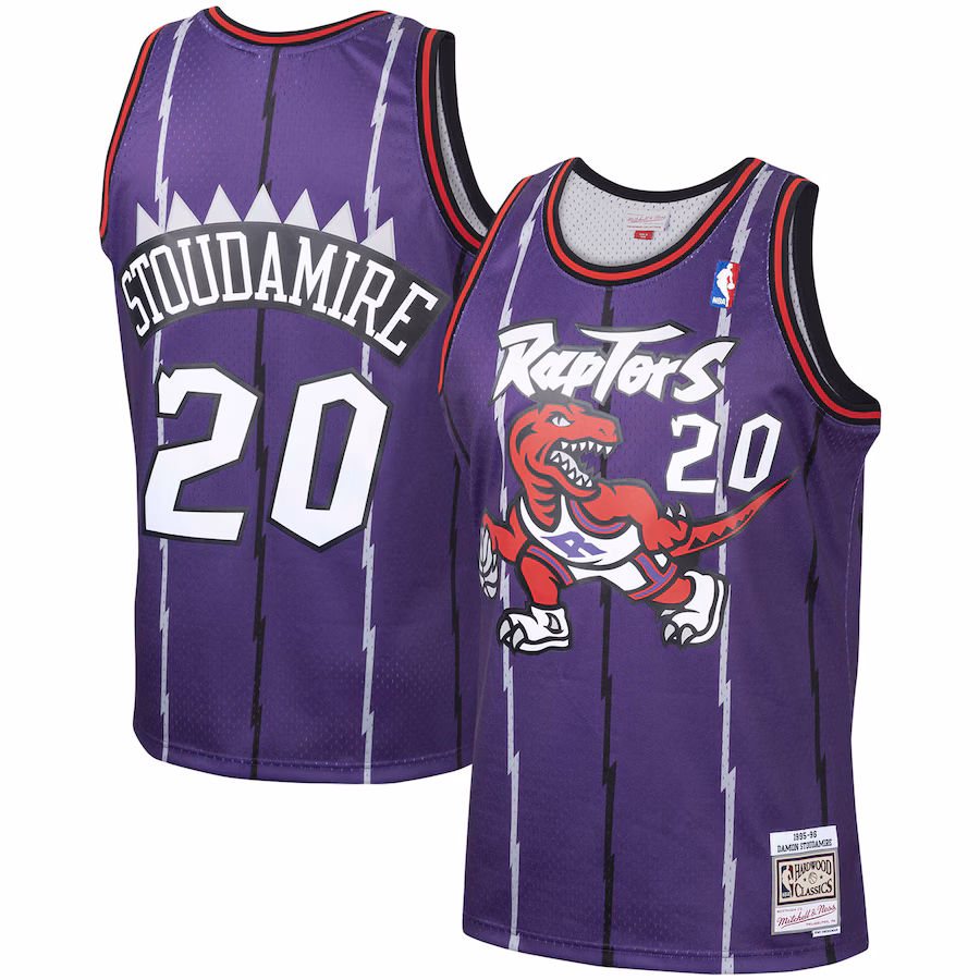 Men's Toronto Raptors Damon Stoudamire Mitchell & Ness Purple 1995/96 Hardwood Classics Swingman Jersey - Jersey