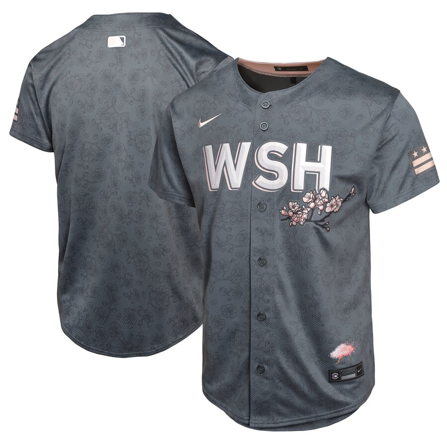 Youth Washington Nationals  Nike Charcoal City Connect Limited Jersey - Jersey