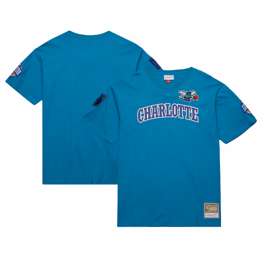Men's Charlotte Hornets Mitchell & Ness Teal Hardwood Classics Nights Premium T-Shirt - Jersey