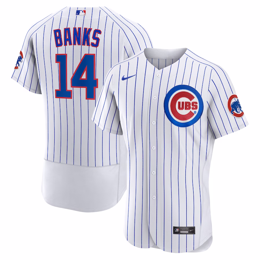 Men's Chicago Cubs Ernie Banks Nike White Home Authentic Retired Player Jersey - Jersey
