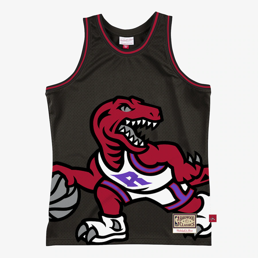 Men's Toronto Raptors Mitchell & Ness Black Hardwood Classics Blown Out Fashion Jersey - Jersey