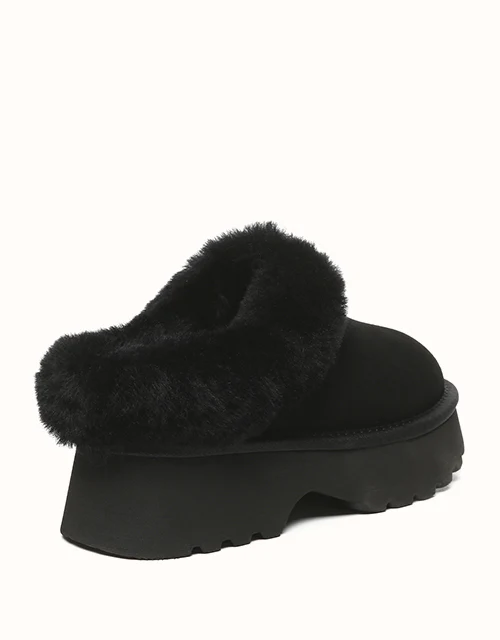 AUSTRALIAN SHEPHERD® Murray Platform