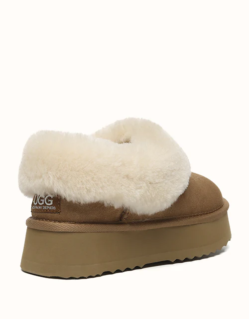 AUSTRALIAN SHEPHERD? Clarrie Platform