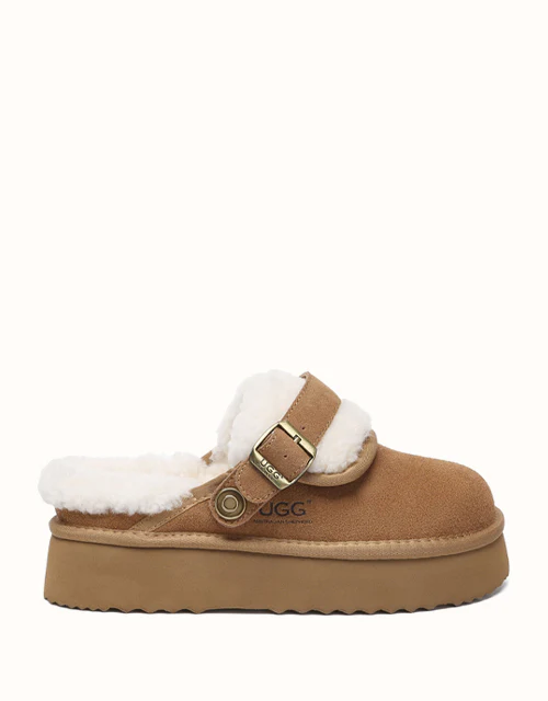 AUSTRALIAN SHEPHERD? Tenley Platform