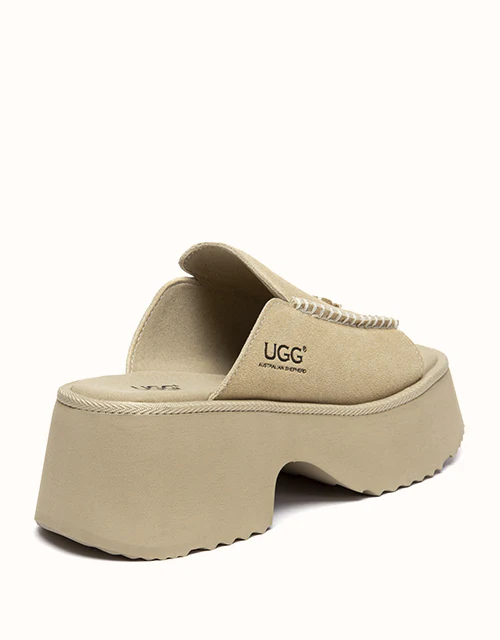 Australian Shepherd? Haive