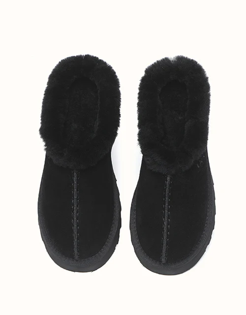 AUSTRALIAN SHEPHERD? Adrian