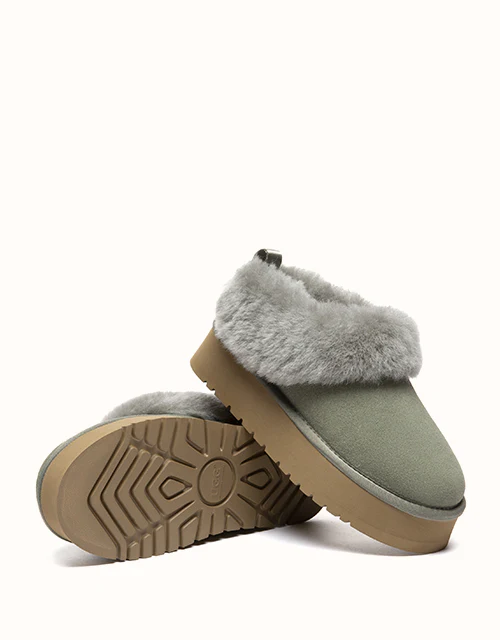 AUSTRALIAN SHEPHERD® Glacial