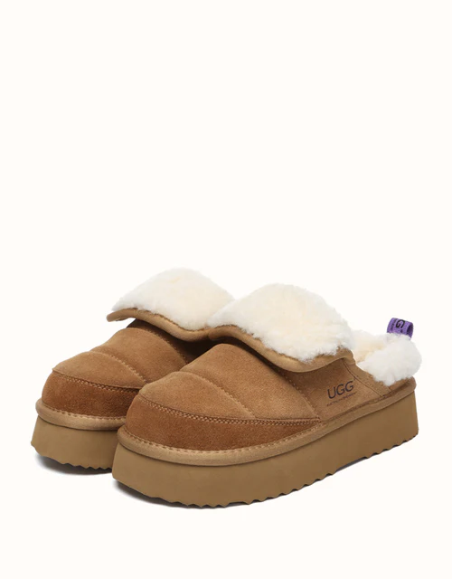 AUSTRALIAN SHEPHERD? Theia Platform