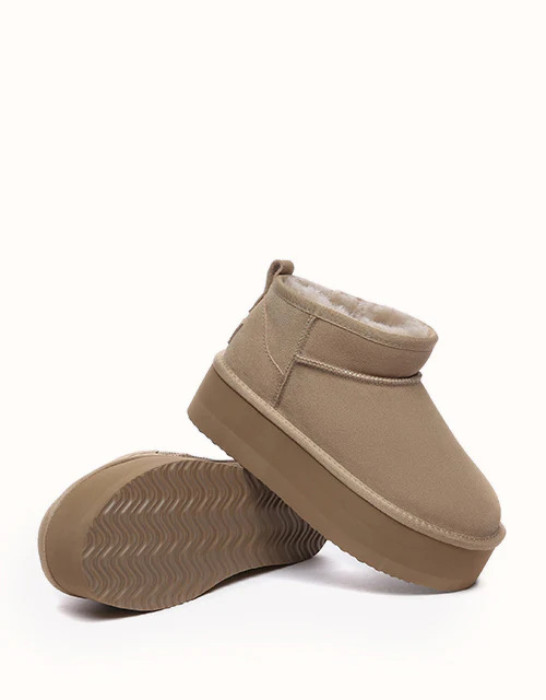 AUSTRALIAN SHEPHERD? Saylor Ultra Platform