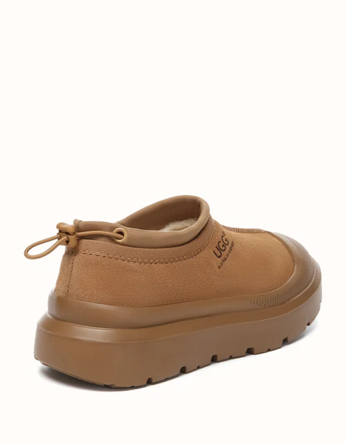 AUSTRALIAN SHEPHERD® Harlow