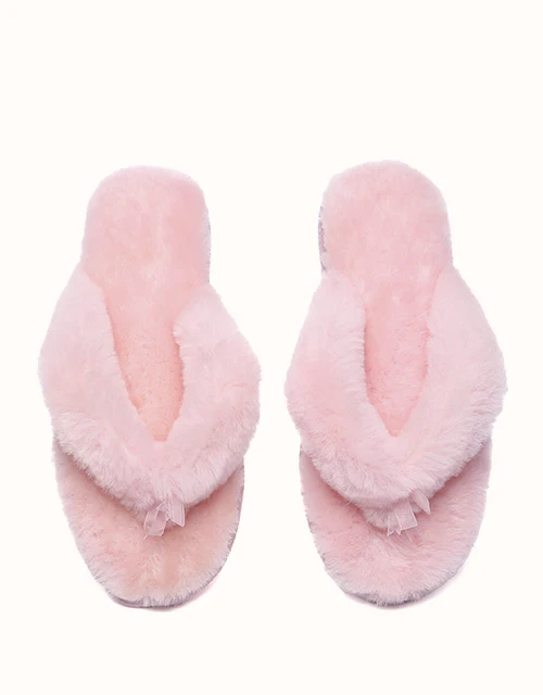 AUSTRALIAN SHEPHERD® Farah