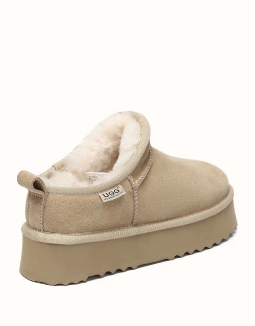 AUSTRALIAN SHEPHERD? Nano Classic Platform