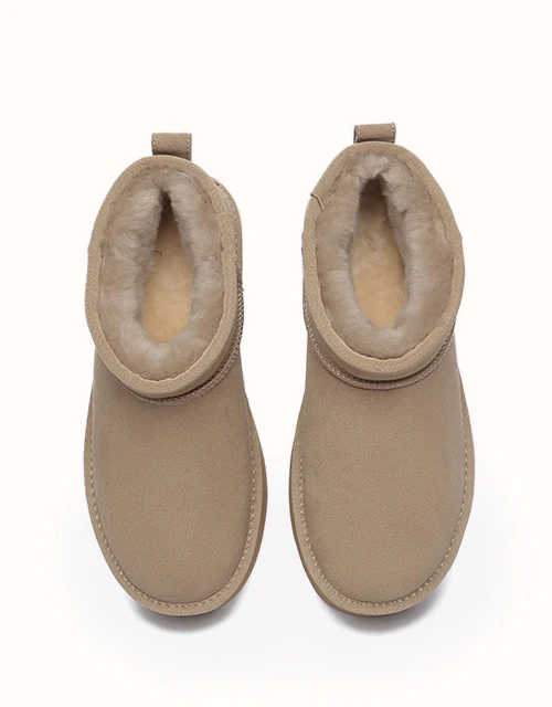 AUSTRALIAN SHEPHERD? Saylor Ultra Platform