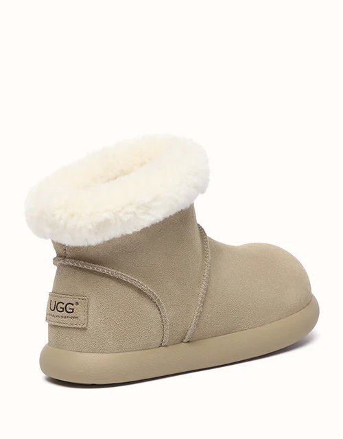 AUSTRALIAN SHEPHERD® Mignow