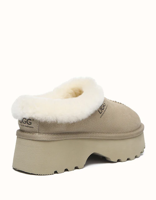 AUSTRALIAN SHEPHERD? Adrian