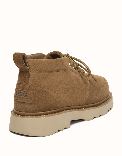 AUSTRALIAN SHEPHERD® Caelen