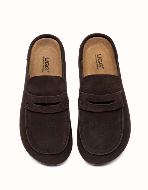 AUSTRALIAN SHEPHERD? Casten