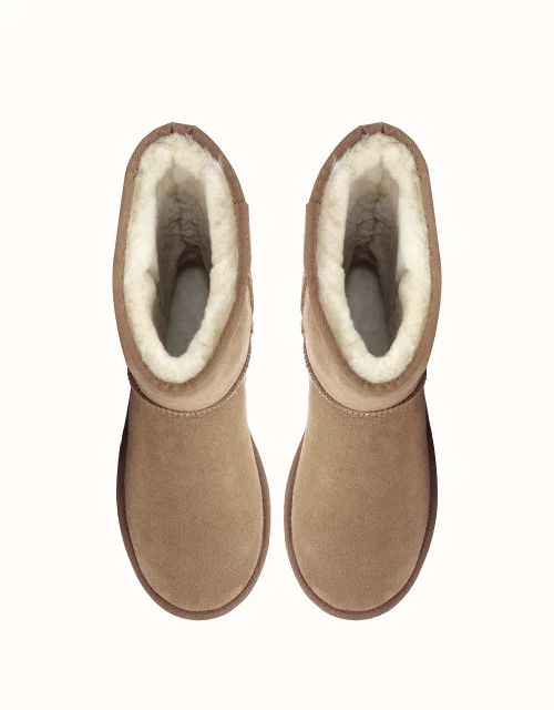 AUSTRALIAN SHEPHERD® SHORT CLASSIC