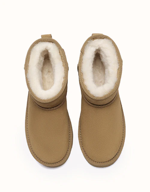 AUSTRALIAN SHEPHERD? Rommie Platform