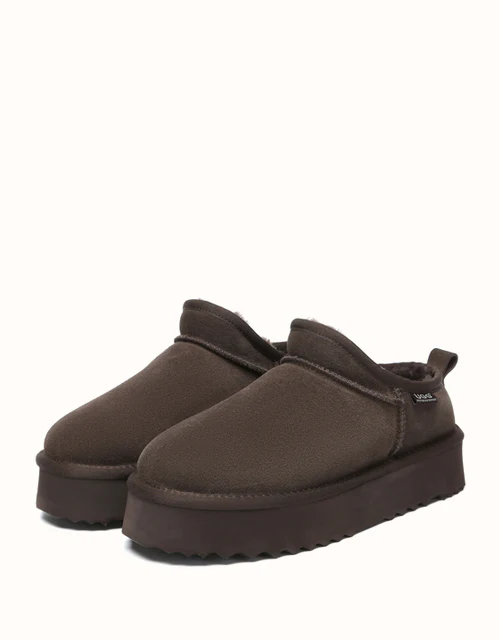 AUSTRALIAN SHEPHERD? Nano Classic Platform