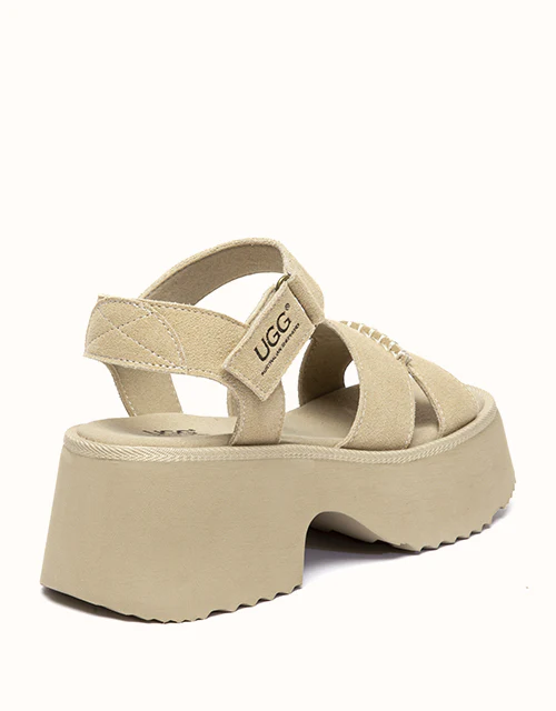 Australian Shepherd® Eive