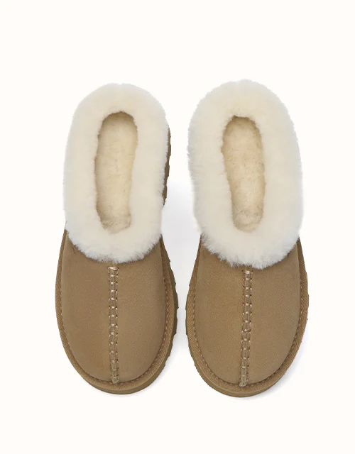 AUSTRALIAN SHEPHERD? Adrian