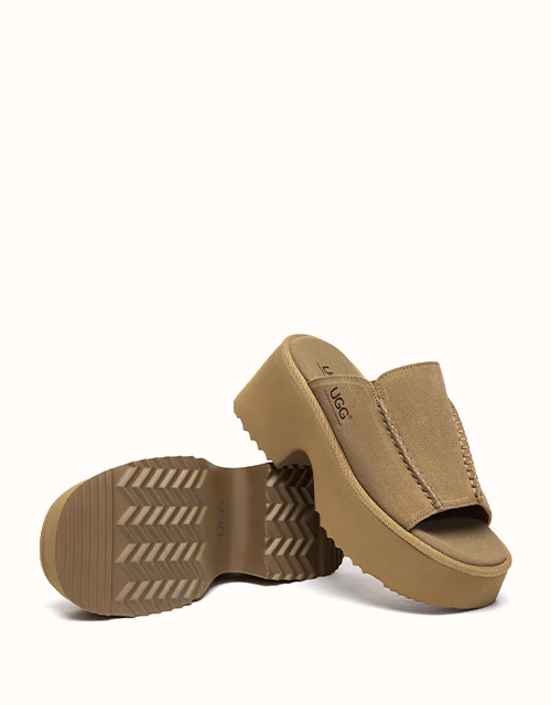 Australian Shepherd? Haive