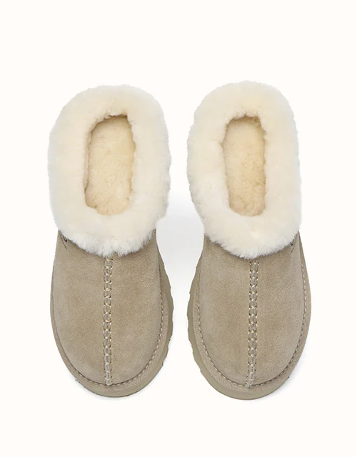 AUSTRALIAN SHEPHERD? Adrian