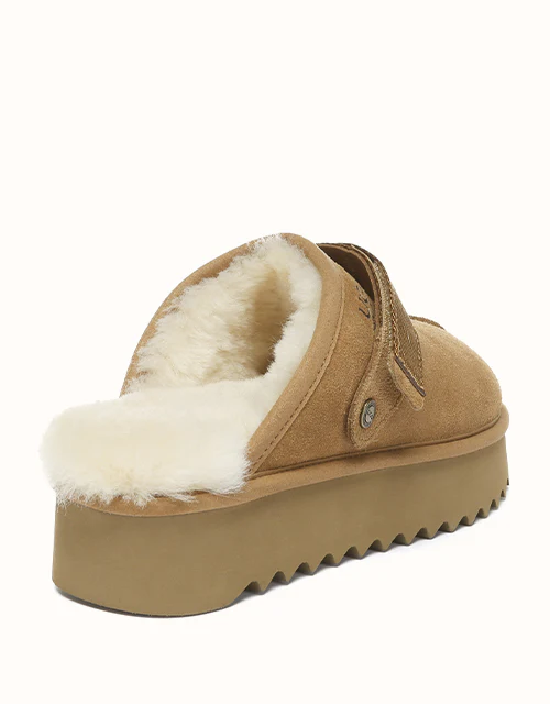 AUSTRALIAN SHEPHERD? Cozeln