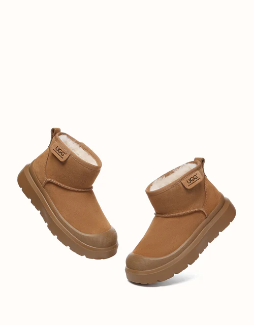 AUSTRALIAN SHEPHERD? Harrison