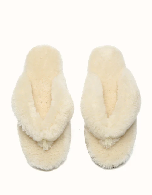 AUSTRALIAN SHEPHERD® Farah