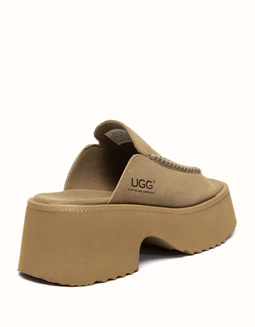 Australian Shepherd? Haive