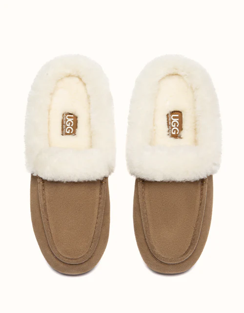 AUSTRALIAN SHEPHERD® Noelle